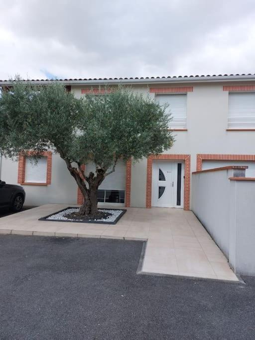 T3 Climatise, Parking Et Jardin Quartier Des Marots A Colomiers 아파트 외부 사진